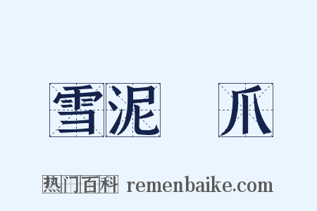 雪泥鴻爪是什么意思的图片